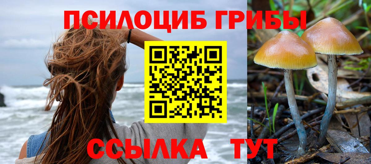 Галлюциногенные грибы MAGIC MUSHROOMS  магазин    Галлюциногенные грибы Psilocybe  Томск  Вход с VPN 